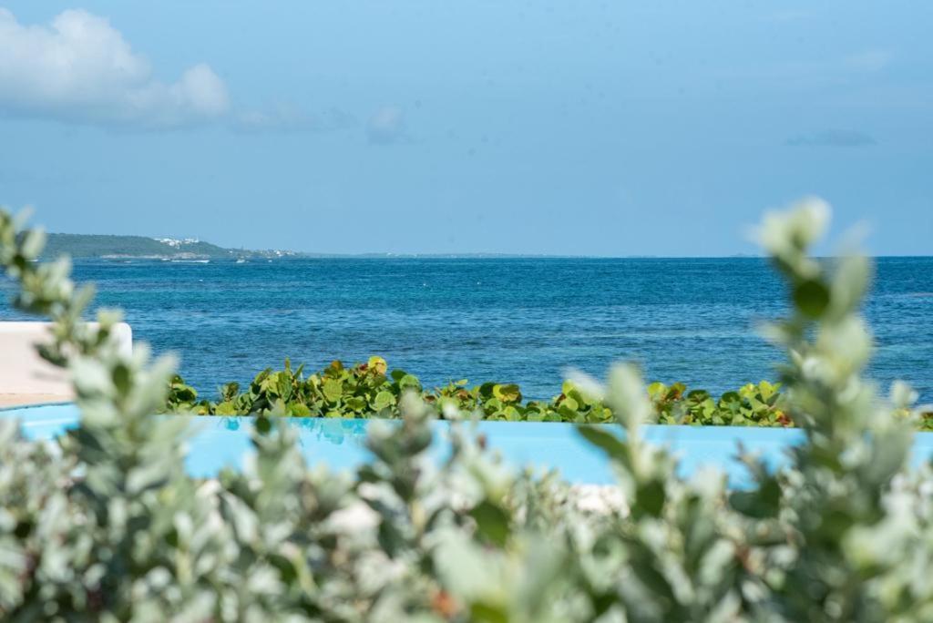 Pasha - Ocean View Lägenhet Sainte-Anne  Exteriör bild